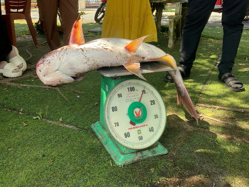 Câu cá giữa thiên nhiên Phú Điền