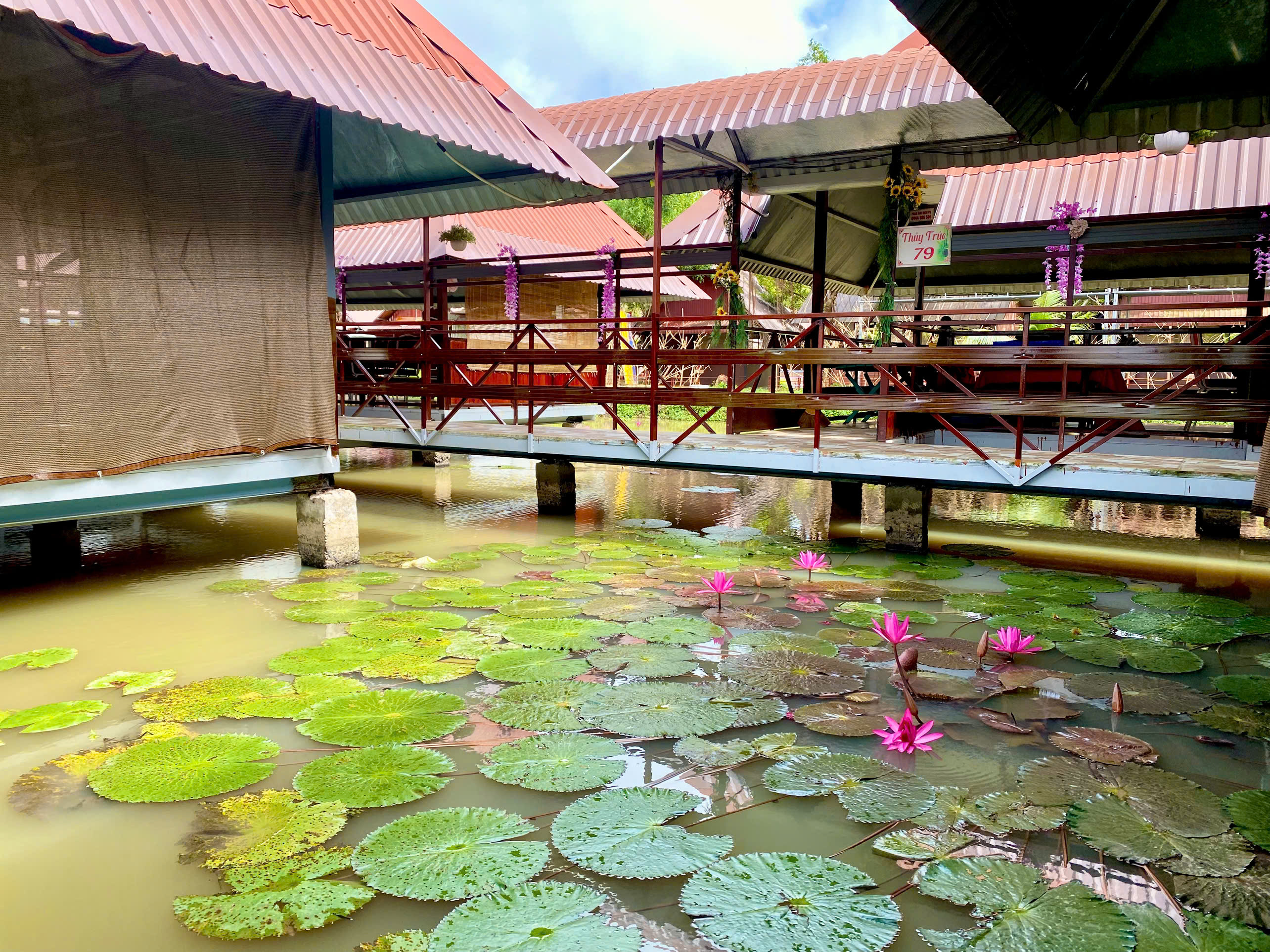 Sinh thái sân vườn 